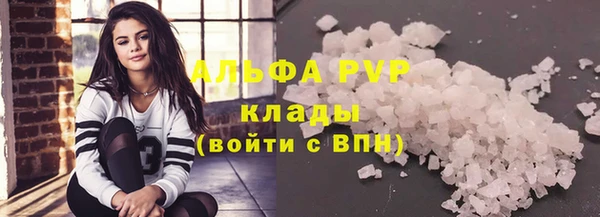 стаф Новозыбков