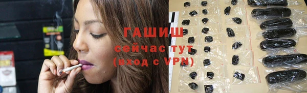 стаф Новозыбков