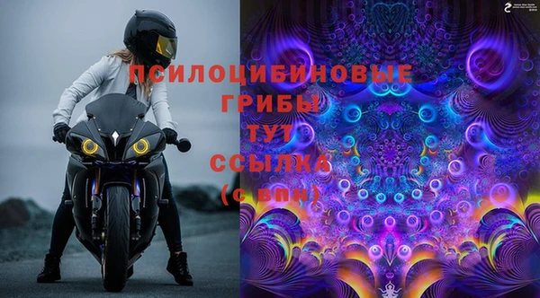 дживик Нефтекумск