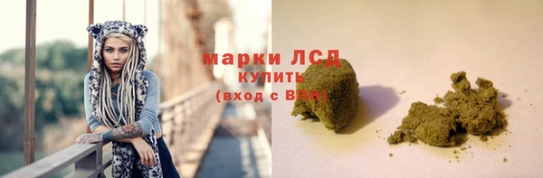 стаф Новозыбков