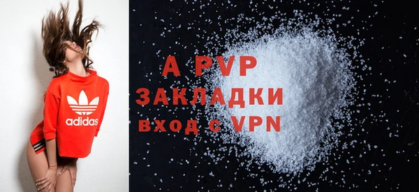 стаф Новозыбков